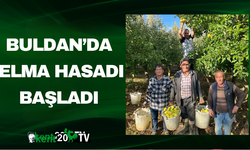 Buldan’da Elma Hasadı Başladı