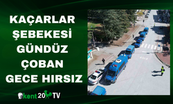 Kaçarlar Şebekesi Gündüz Çoban, Gece Hırsız