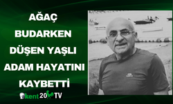 Ağaç Budarken Düşen Yaşlı Adam Öldü