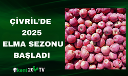 Çivril’de 2025 Elma Sezonu Başladı