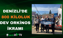 Denizli’de 800 Kiloluk Dev Orkinos İkramı