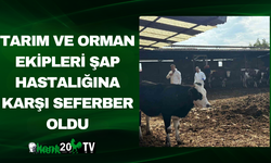 Tarım ve Orman Ekipleri Şap Hastalığına Karşı Seferber Oldu