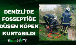 Denizli’de Fosseptiğe Düşen Köpek Kurtarıldı