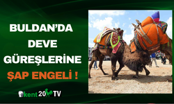 Buldan’da deve güreşlerine şap engeli
