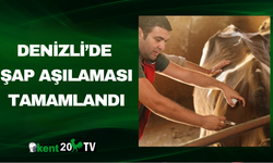 Denizli’de Şap Aşılaması Tamamlandı