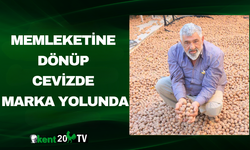 Memleketine Dönüp Cevizde Marka Yolunda