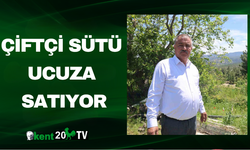 Çiftçi Sütü Ucuza Satıyor