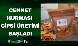 Cennet Hurması Cipsi Üretimi Başladı