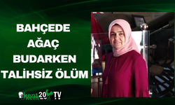 Bahçede Ağaç Budarken Talihsiz Ölüm