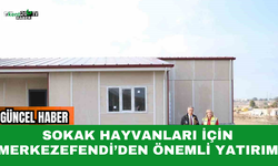 Sokak Hayvanları İçin Merkezefendi’den Önemli Yatırım