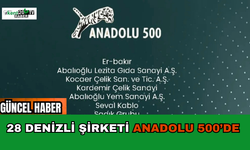 28 Denizli Şirketi Anadolu 500’de