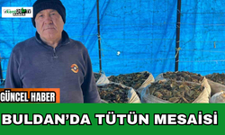 Buldan’da Tütün Mesaisi