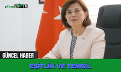 Eşitlik ve Temsil