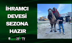 İhramcı Devesi Sezona Hazır