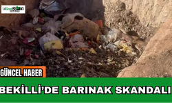 Bekilli’de Barınak Skandalı