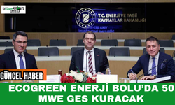 Ecogreen Enerji Bolu’da 50 MWe GES Kuracak