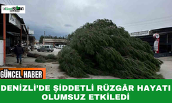 Denizli’de Şiddetli Rüzgâr Hayatı Olumsuz Etkiledi