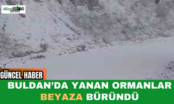 Buldan’da Yanan Ormanlar Beyaza Büründü