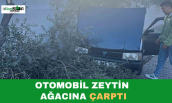 Kontrolden Çıkan Otomobil Duvara Çarptı