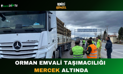 Orman Emvali Taşımacılığı Mercek Altında