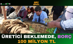 Üretici Beklemede, Borç 100 Milyon TL