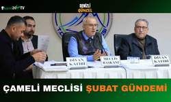 Çameli Meclisi Şubat Gündemi