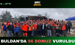 Buldan’da 56 Domuz Vuruldu