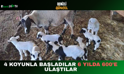 4 Koyunla Başladılar 6 Yılda 600’e Ulaştılar