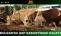 Buldan’da Şap Karantinası Kalktı