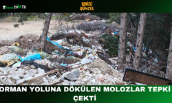 Orman Yoluna Dökülen Molozlar Tepki Çekti