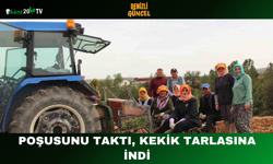 Poşusunu taktı, kekik tarlasına indi