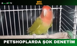 Petshoplarda Şok Denetim