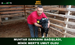 Muhtar Danasını Bağışladı, Minik Mert’e Umut Oldu