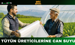 Tütün Üreticilerine Can Suyu