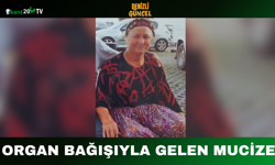 Organ Bağışıyla Gelen Mucize