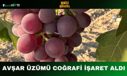 Avşar Üzümü Coğrafi İşaret Aldı