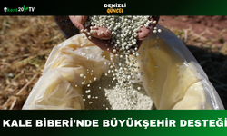 Kale Biberi’nde Büyükşehir Desteği