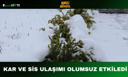 Kar ve Sis Ulaşımı Olumsuz Etkiledi