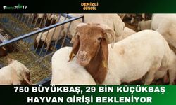 750 Büyükbaş, 29 Bin Küçükbaş Hayvan Girişi Bekleniyor