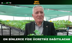 On Binlerce Fide Ücretsiz Dağıtılacak