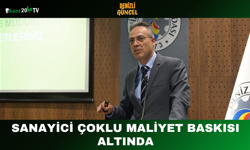 Sanayici Çoklu Maliyet Baskısı Altında