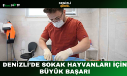 Denizli’de Sokak Hayvanları İçin Büyük Başarı