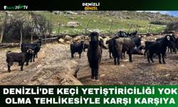 Denizli’de Keçi Yetiştiriciliği Yok Olma Tehlikesiyle Karşı Karşıya