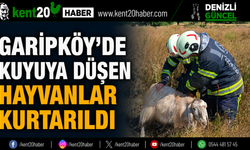 Garipköy’de Kuyuya Düşen Hayvanlar Kurtarıldı