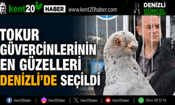 TOKUR GÜVERCİNLERİNİN EN GÜZELLERİ DENİZLİ’DE SEÇİLDİ