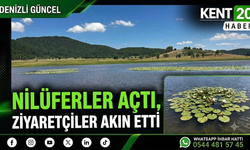 Nilüferler Açtı, Ziyaretçiler Akın Etti