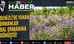 DENİZLİ’DE YANAN ORMANLAR BAL ORMANINA DÖNÜŞTÜ!