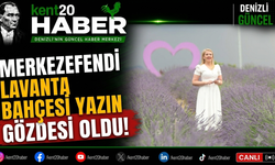 Merkezefendi Lavanta Bahçesi Yazın Gözdesi Oldu!