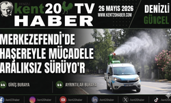 Merkezefendi’de Haşereyle Mücadele Aralıksız Sürüyor