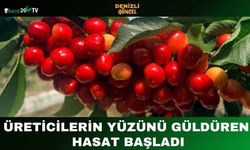 Üreticilerin Yüzünü Güldüren Hasat Başladı